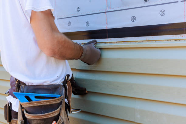 Affordable Vinyl Siding solutions in Wendell, NC